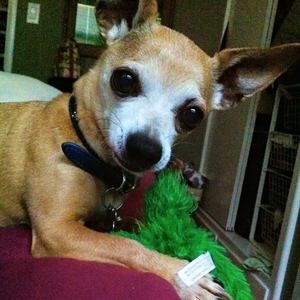 Meet your Posher, Maureen